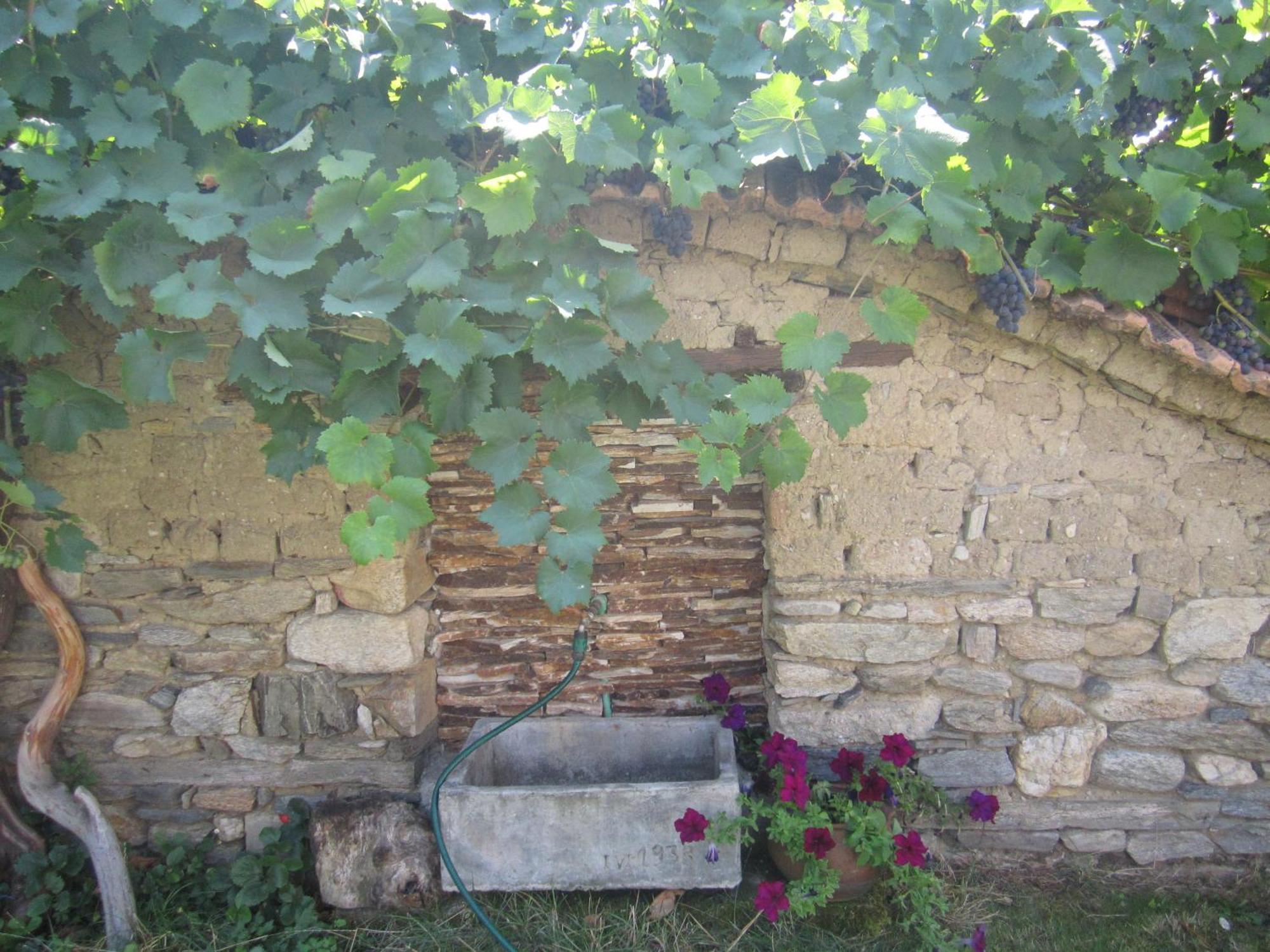 Guest House Popov Marchevo Exterior photo